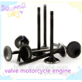 Iveco Engine Parts 8460.21 Turbo 86- Engine Valve